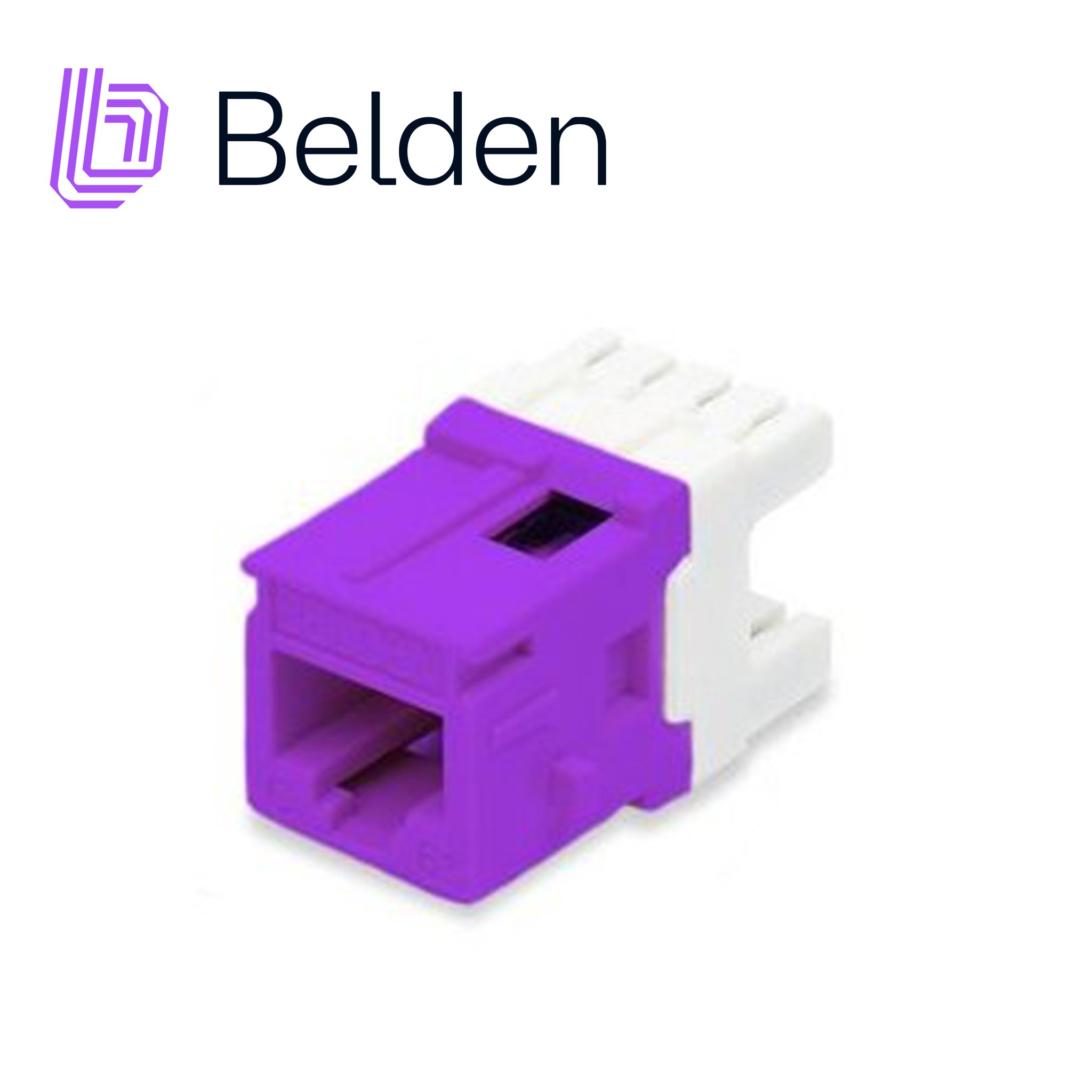 CONECTOR MODULAR JACK CAT6+ RJ45 BELDEN AX104194 / KEYCONNECT / INTERIOR / PURPURA / PIEZA